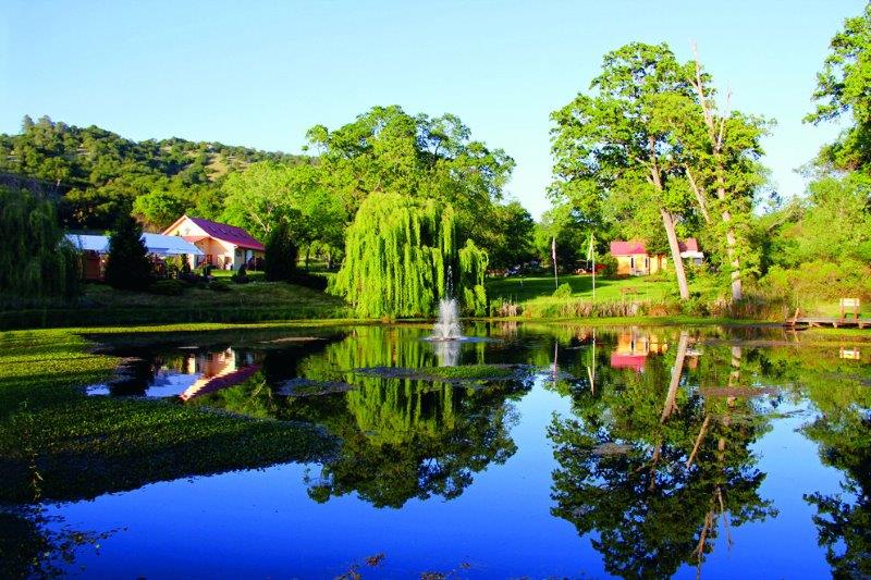 https://sivanandasf.org/wp-content/uploads/2020/03/sivananda-yoga-farm-view-of-pond.jpg